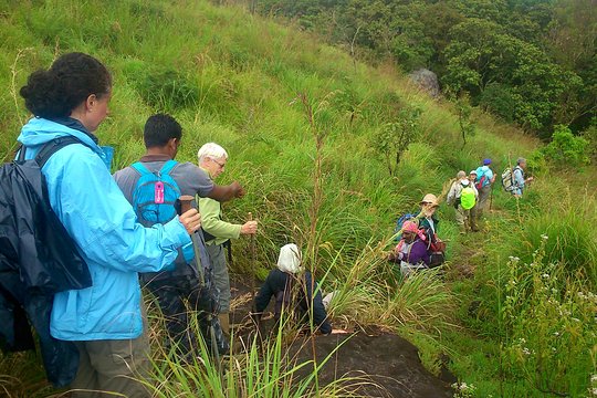 Tour image 6