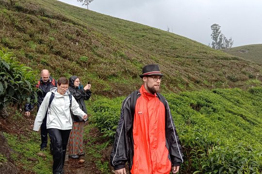 Tour image 5