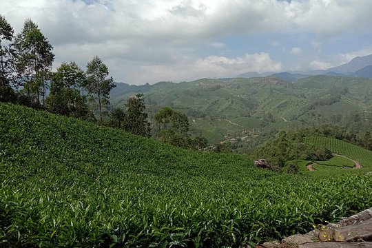 Tour image 9