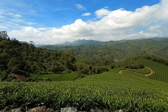 Tour image 10