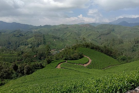 Tour image 11