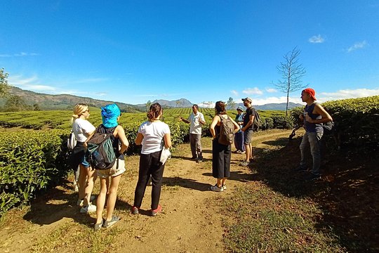 Tour image 5