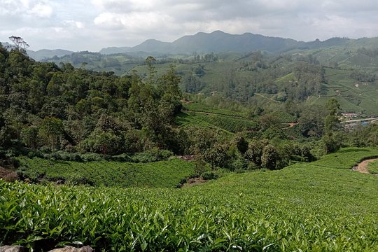 Tour image 6