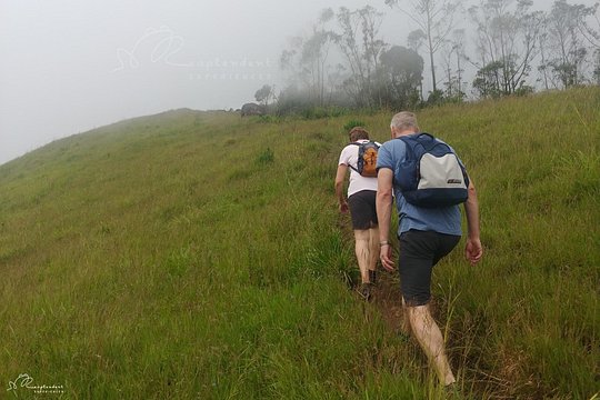 Tour image 5