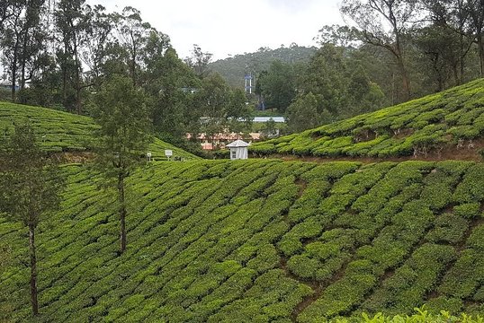 Tour image 6