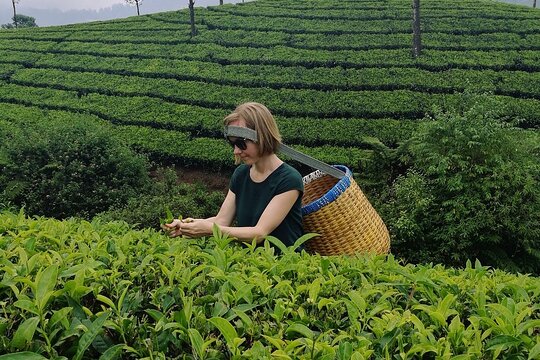 Tour image 8