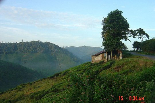 Tour image 12