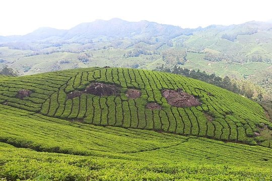 Tour image 6